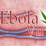 Ebola.com Vendido en 200,000 Dolares