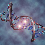 Google apoya a la investigación sobre el genoma