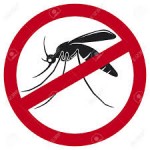 científico mexicano desarrolla el sistema que proporcionará en tiempo real la ubicación de los mosquitos que propagan el dengue.